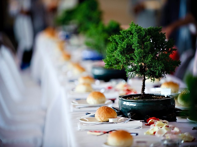 Wedding Catering Sydney - Traditional Style